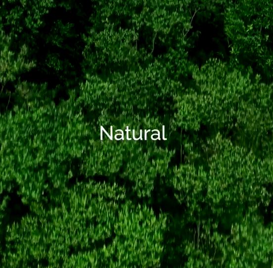 100% natural